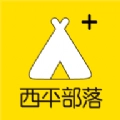 向阳影视