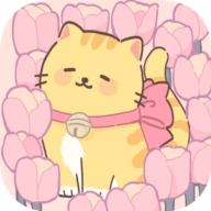 我的猫系男友