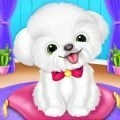 宠物狗狗养成日记游戏