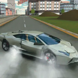 模拟卡丁车世界