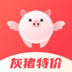 灰猪特价  v2.3.3