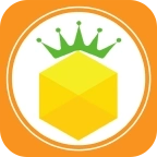 金菠萝 v1.1.1