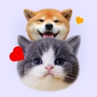 猫狗语宠物翻译器
