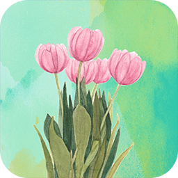 高清氧气壁纸 v1.1