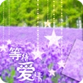 薰衣草等待爱情动态壁纸锁屏
