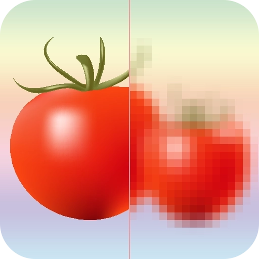 马赛克打码专家 v1.1.6