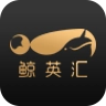 鲸英汇 v1.1.3