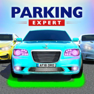 realcarparking