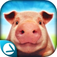 PigSimulator