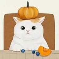 收纳物语官方正版