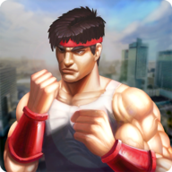 怒火街头汉化版 v32