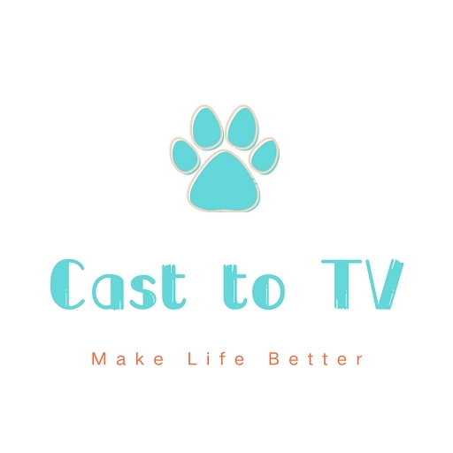 贝希投屏助手 v202007031