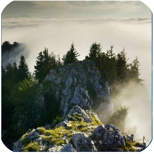 韩文翻译器免费版