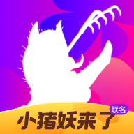 花小猪打车官网版