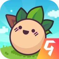 大头菜菜历险记  v1.2.3