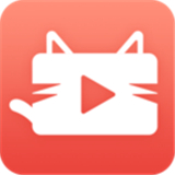 猫咪交友