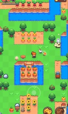 夏日时光探索小岛中文版图1