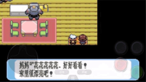 口袋妖怪红宝石中文版图3