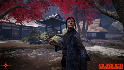 岚罪恶之城中文版图2