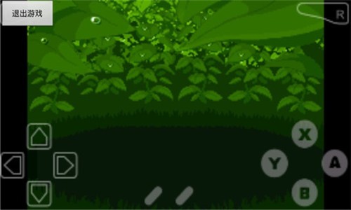 口袋妖怪漆黑的魅影中文版图1