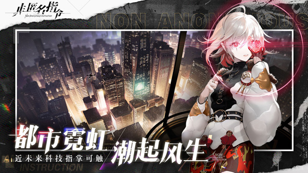 非匿名指令图3