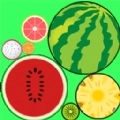 西瓜合成了游戏安卓版