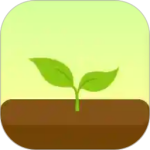forest专注森林官网版