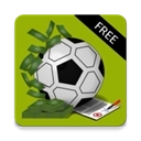 足球经纪人中文版