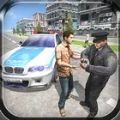边防警察西姆官方版