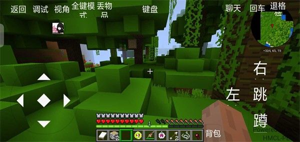 雨雨子宝可梦正式版