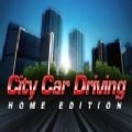citycardriving中文手机版