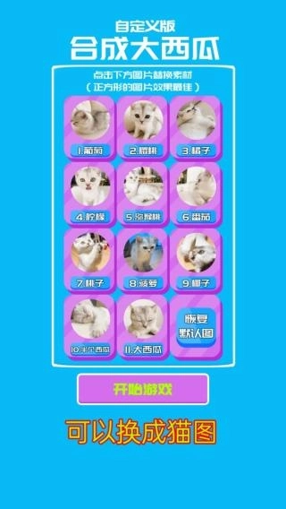 合成大西瓜无广告版图2