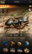 超能蚁团最新版