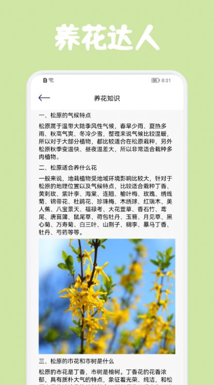识花拍照帮(2)