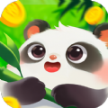 好运熊猫领红包 