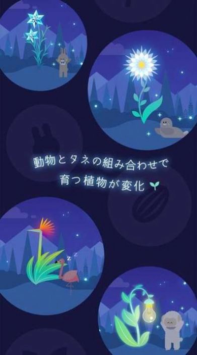 猫星大作战 