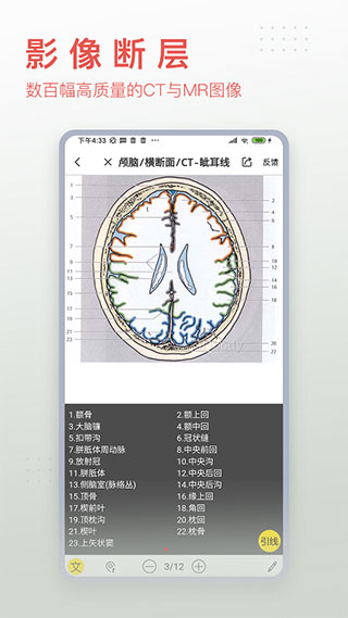 3dbody解剖圖2