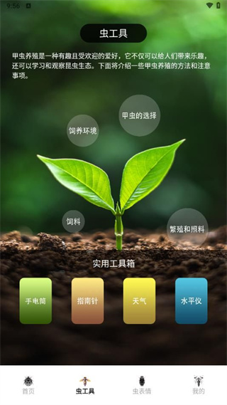 虫助手大师图1