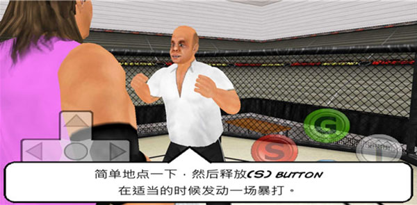 摔跤战士中文版截图