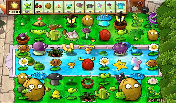 植物大战僵尸随机植物版本图3