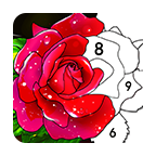 按数字填色书ColorbyNumber