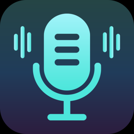 专业变声软件