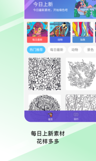 paint数字填色书