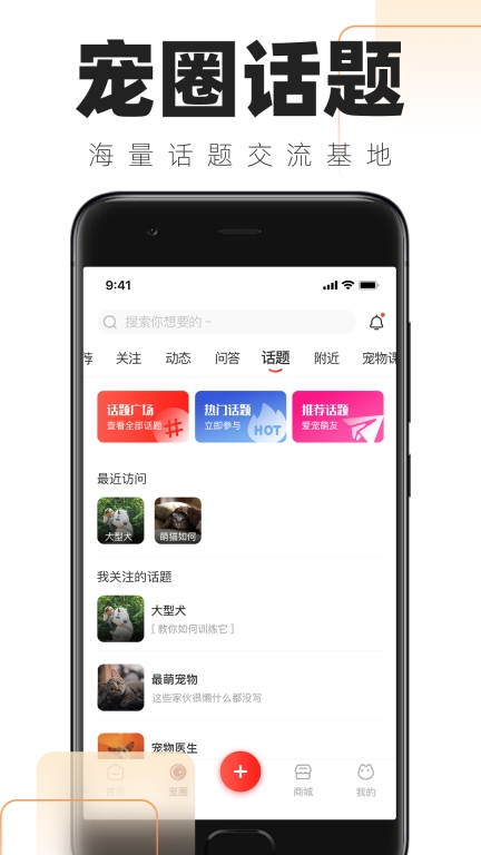 铲屎官的日常