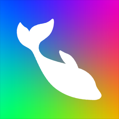 免费Flow Photo最新版