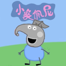 小猪的午夜后宫