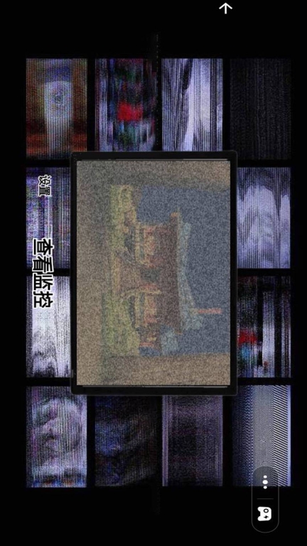 小猪的午夜后宫