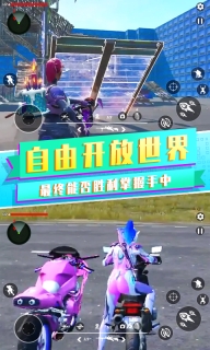 吃鸡战场之夜安卓版