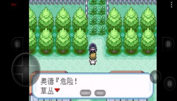 口袋妖怪究极之路最新免费手机版
