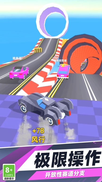 赛车能手